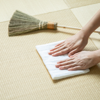 Deep Cleaning for Window Seat Cushions and Tatami Mats