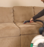Whole Home Upholstery Cleaning for Multi-Pet Households