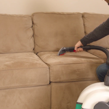 Whole Home Upholstery Cleaning for Multi-Pet Households