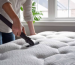 Steam Mattress and Bedding Dust Mite Treatment for Double Beds