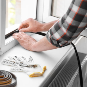Door and Window Sealing for Physical Pest Prevention