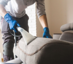 Annual Whole Home Dust Removal and Pest Prevention Inspection