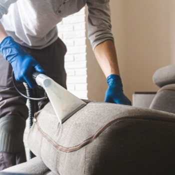 Annual Whole Home Dust Removal and Pest Prevention Inspection